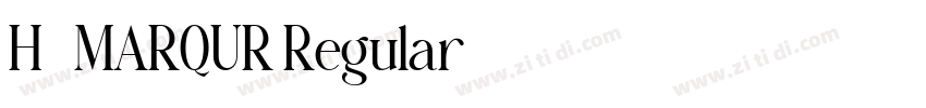 H_MARQUR Regular字体转换